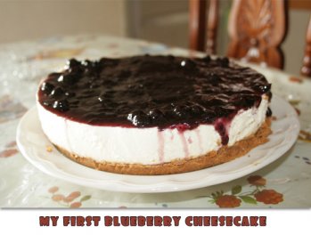 90__350x264_myblueberry 90__350x264_myblueberry