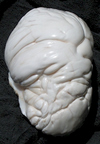 pearl_of_allah_2